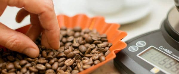 Coffee Sample Tray